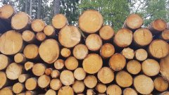 Holzstapel Brennholz
